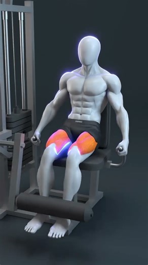 ✅ Perfect Your Leg Extension Form — Here’s How