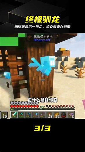 馴龍之路（47）：馴服最后一條龍，掠奪者也在孵化龍蛋#我的世界##游戲##游戲日常# #我的世界，驯龙，掠夺者，龙蛋，生存