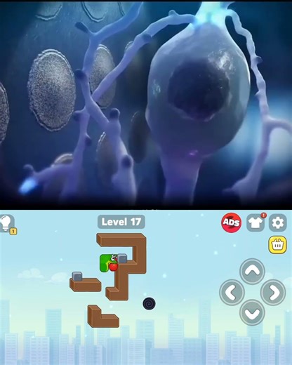 Can Monkeys Play Games With Their Brain? The Real Science Explained