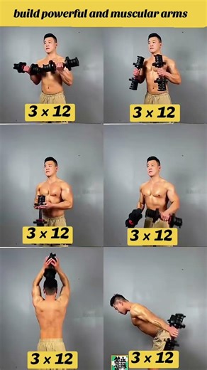 How to Build Powerful & Muscular Arms 💪 Gym Motivation