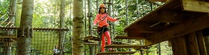 Hanazono Niseko | Tree Trekking & Tree Walk