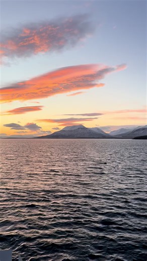 This golden Arctic moment 💛 2 humpbacks. 7 whales total. That’s now 822 tours in a row with sightings from Dalvík, one of the world’s most reliable whale watching destination! #FYP #DalvikWhales #WhaleWatching #IcelandVibes #HumpbackWhale