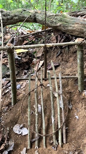 Making a Primitive Trap Using Only Forest Materials#forest #survival #nature #survivalskills