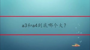 a3和a4到底哪个大？