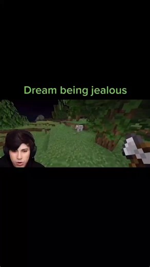 Dream's Jealousy Over George's Wolf in Minecraft