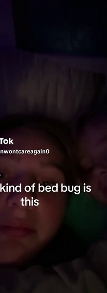 #foryou #foryoupage #blowthisup #viral #chopped | bed bugs