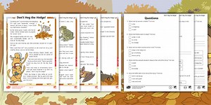 Year 2 Don't Hog the Hedge! Reading Comprehension Activity