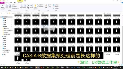 CASIA-B预处理数据集预处理演示展示步态识别教程gait recognition