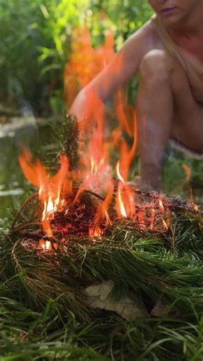 Aventure sauvage en Amazonie : survivre au défi de la jungle !