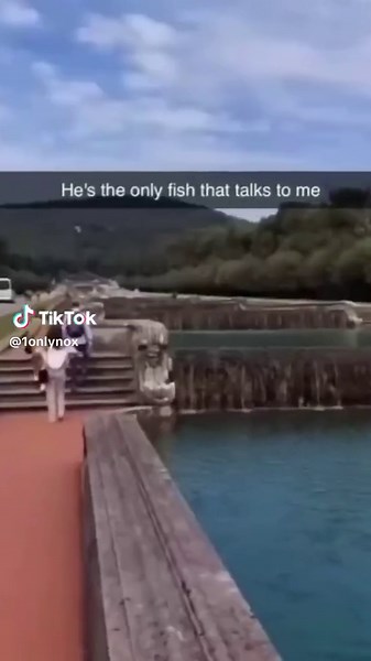 #fish #funnyvideos #memes