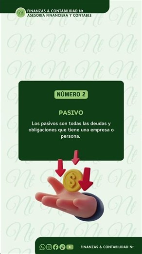 Conceptos Básicos de Contabilidad ✨️