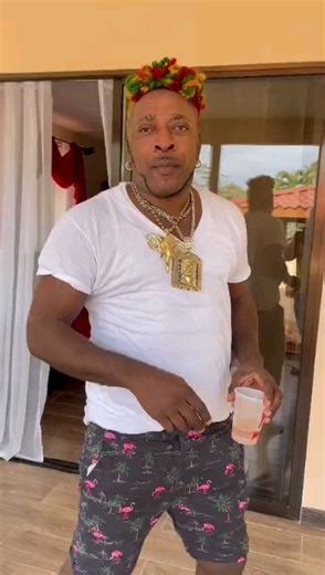 6.3K reactions · 195 shares | Legendary Dancehall Reggae artist @elephantmantheenergygod still going strong. He is one of the biggest Dancehall artist who influenced a lot of African youths with his energetic performances. He is popular for his hit songs such as "Higher Level", Pon De River Pon De Bank", Willie Dance and many more. Elephant man visited Africa and among the countries he visited & Performed is Zimbabwe in 2011 at the Glamis Arena. | Havok Live | Facebook