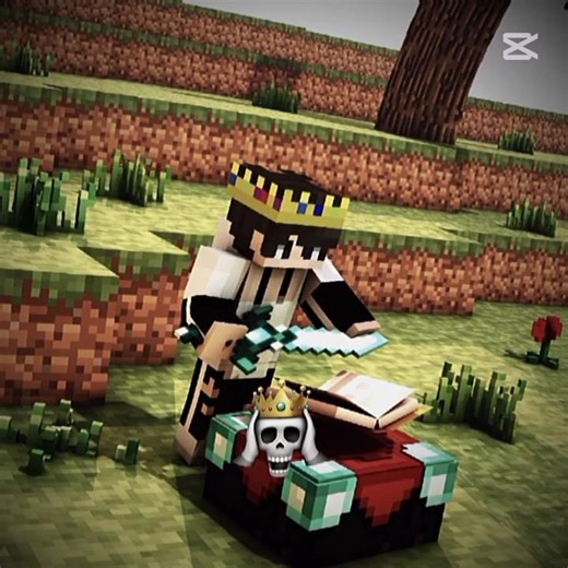 my old logo vs my new mc skin