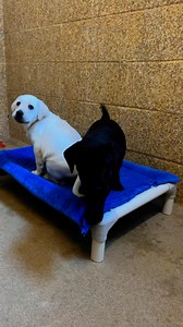 12K views · 850 reactions | Did you know we have a Sewing Club at the...