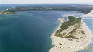 20K views · 658 reactions | Nestled within the colorful Aquinnah...