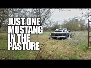 FOUND: 1970 Mustang Mach 1 in Texas Pasture