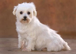 22K views · 713 shares | SENIOR SUNDAY! Today we are featuring a few...