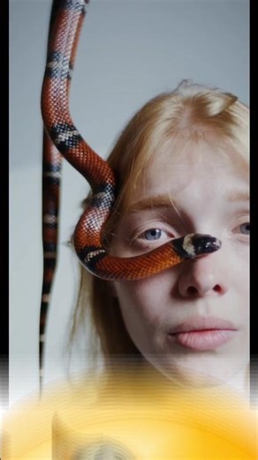 Amazing facts #facts #amazingfacts #shorts #youtubeshorts