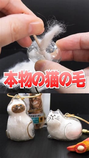 アジーンTV on Instagram: "超話題‼️猫の毛で作るオリジナルガチャガチャが大ヒット🙀うちの子のけだまだま #ガチャガチャ #カプセルトイ #gachapon #gachagacha #japan #猫 #cat #kawaii #アジーンtv #hair"