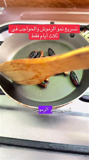 تسريع نمو الرموش والحواجب في ثلاث أيام فقط