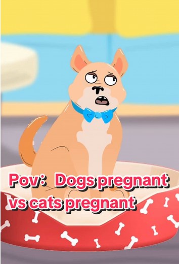 Dogs Pregnant vs Cats Pregnant: A Humorous Comparison