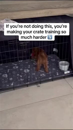 You’re making crate training 3x harder ✋🏻 Here’s why: A puppy in a giant crate will potty in one corner and sleep in the other. They never learn “this is my bed.” But with a divider? Just enough room to stand, turn, lie down. They hold it. They learn fast. That’s trick #1. I have 6 more from my Crate Training Quick Start Bundle: 2. The “tired not trying” test (know when to ignore crying) 3. The frozen Kong routine (make them LOVE the crate) 4. The 10-minute rule (why longer isn’t better) 5. The