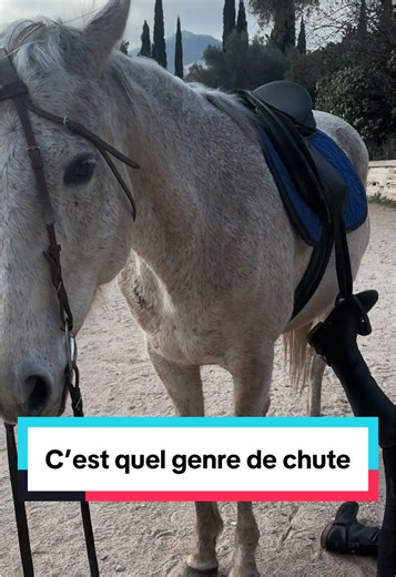 Falling for you 💙 #cheval #equitation #chute #paddockparadis #centreequestre @Axelle Caduceus