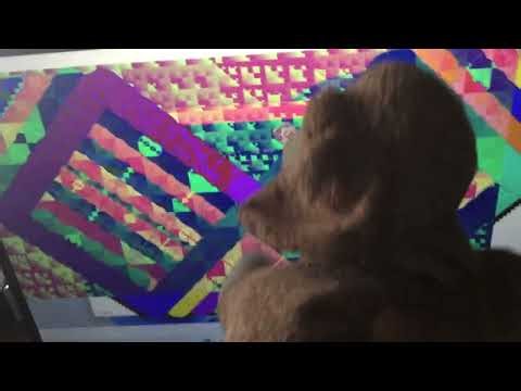 My dog plush gets a virus on his computer