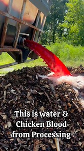 Composting Chicken Guts. #regenerativefarming #homestead #compost #pasturedpoultry #chicken #eatlocal #smallbusiness #supportlocal #farm | Triple Oaks Farm PMA