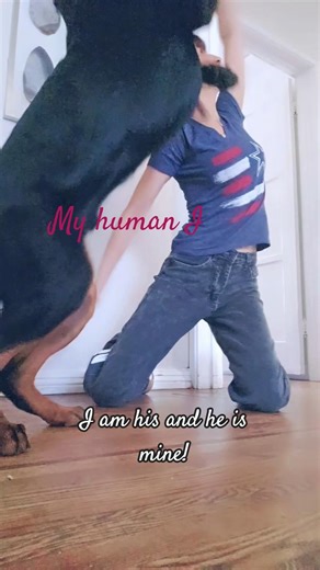 My dog is my human I