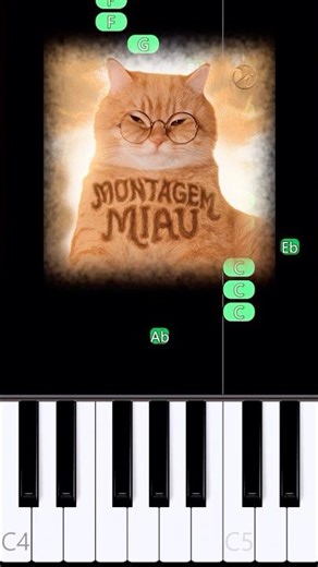 how to play "MONTAGEM MIAU" on piano