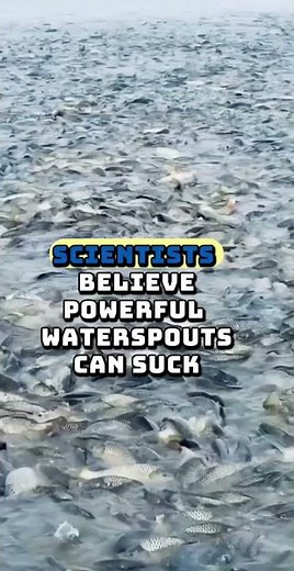 Yes, it has rained fish 🐟🌧️ One of the strangest weather events ever recorded. #shorts