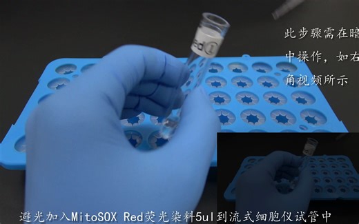 博锐德-精子活性氧类物质（ROS）MitoSOX Red染色液（荧光染色法）