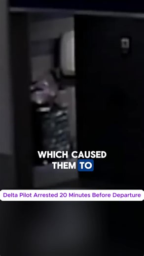 Delta Pilot Arrested 20 Minutes Before Departure-2#pilot #pilotlife #viral #74gear #videotrending
