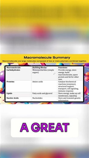 Macromolecules: Building Blocks & Their Differences Explained