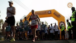 Discovery Jacaranda Spring Walk