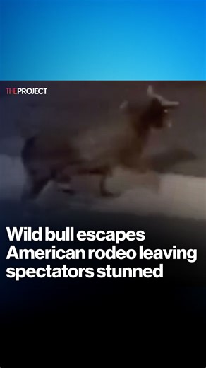 The moment a wild bull jumped into the crowd and escaped an American rodeo, shocking spectators, was caught on camera. Credit: @CollinRugg | The Project