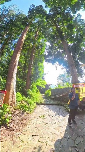 Lembah Purba Situ Gunung Sukabumi 🌄 Dilihat dari Suspension Bridge