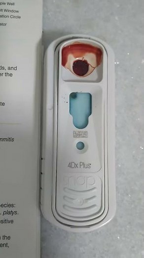 Parte 2 teste 4dx no Consultório