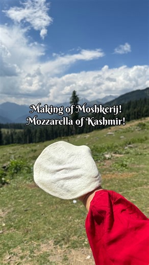 EXPLORE THE MAKING OF MOSHREIJ CHEESE IN MOUNTAINS OF KASHMIR 🧀 Moshkreij also known as Kalari is known as Mozzarella of Kashmir because it resembles the Italian cheese in texture and taste. This indigenous cheese is made from Buffalo milk. Although it’s very versatile but its use and application is still unexplored! Hope this cheese finds a way in international cuisine soon! https://youtu.be/99azz0J7Z-E?si=HleJQZENDdSioP5O #cheese #artisinal #artisinalcheese #mozzarella #kalari #cheesemaking #