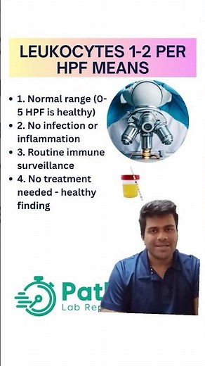 1-2 Leukocytes HPF in urine means ? Normal Range? #microscopy #health #normal