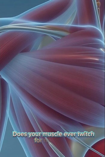 Why Do Muscles Twitch for No Reason?