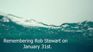 69 reactions · 16 shares | From our friends at Fins Attached Marine Research And Conservation a beautiful video on the life and impact of Rob Stewart. Son, brother, friend, biologist, author, conservationist and filmmaker. Rob always said he was an activist first; a filmmaker, second. Your mission continues! #unitedconservationists #finfree #sharkwater #Robstewart #robstewartsharkwaterfoundation | Rob Stewart | Facebook