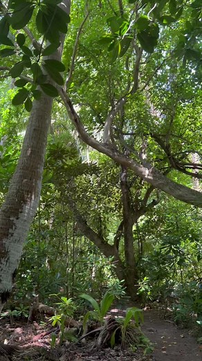 JayHeartMusicOfficial on TikTok