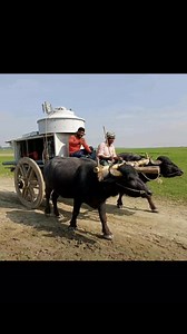 14K views · 180 reactions | Telecom Job on Reels | Facebook