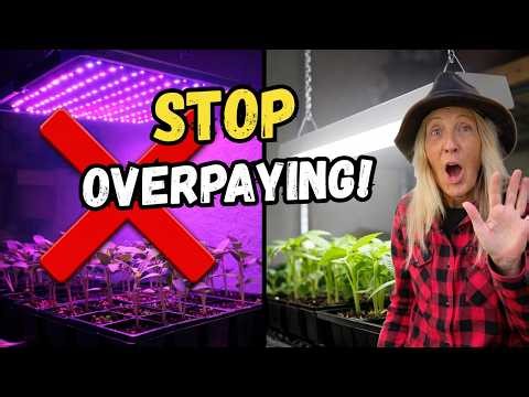 Grow Lights Are a Scam Here’s What Actually Works