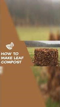 How to prepare leaf compost I home? #shorts