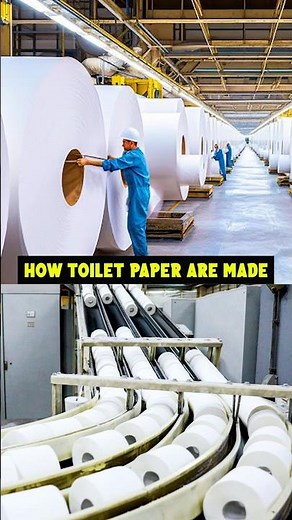 How Toilet Paper Is Made 🧻🤯