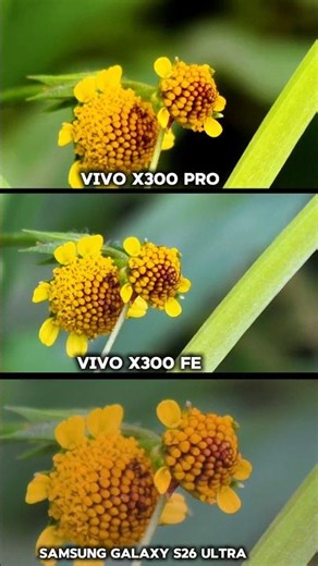 ViVO X300 Pro Vs ViVO X300 FE vs Samsung Galaxy S26 Ultra photography test Camera Testing zoom test