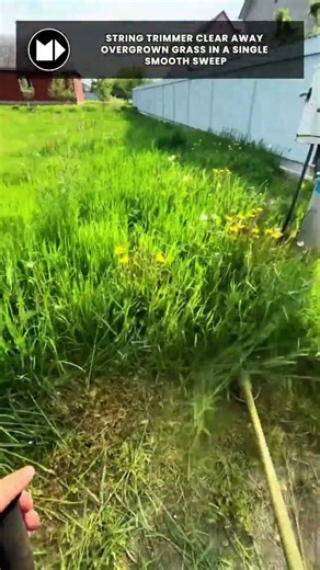 Lawn Mowing & Grass Trimming